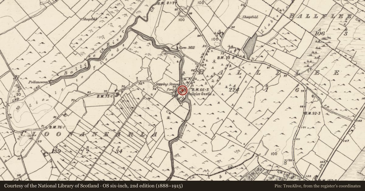 Ordnance Survey six-inch map, 2nd edition (1888–1915) covering the location of Castle - tower house, Ballylee, County Galway, with a pin at the register's coordinates