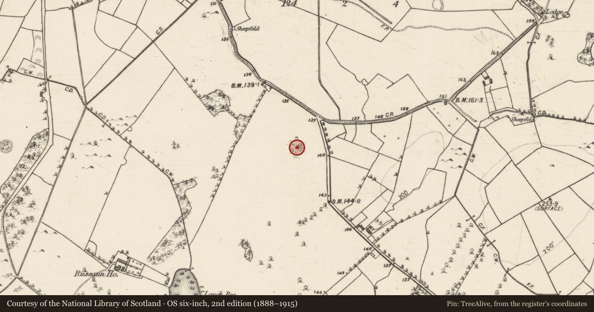 Ordnance Survey six-inch map, 2nd edition (1888–1915) covering the location of Souterrain, Ballyturin, County Galway, with a pin at the register's coordinates