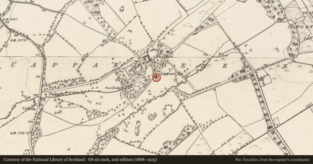 Ordnance Survey six-inch map, 2nd edition (1888–1915) covering the location of House - 18th/19th century, Cappard Demesne, County Galway, with a pin at the register's coordinates