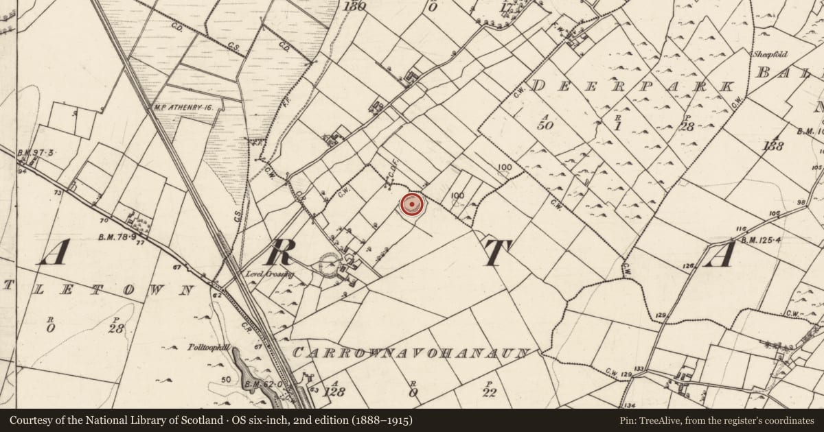 Ordnance Survey six-inch map, 2nd edition (1888–1915) covering the location of Ringfort - rath, Carrownavohanaun, Rinrush, County Galway, with a pin at the register's coordinates