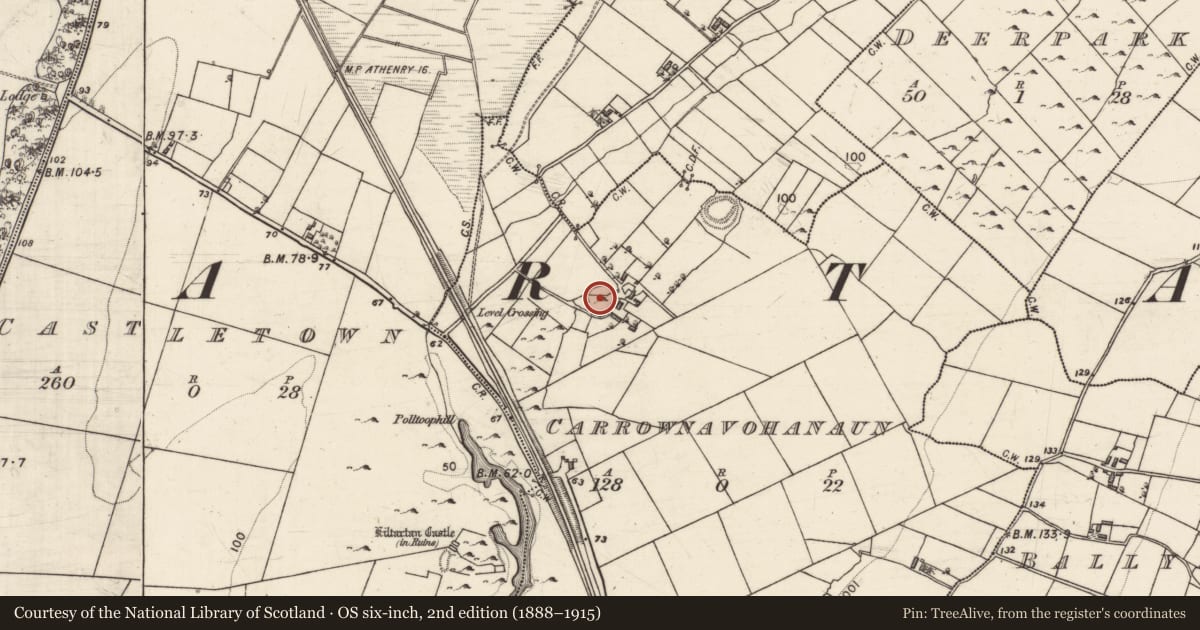 Ordnance Survey six-inch map, 2nd edition (1888–1915) covering the location of Ringfort - rath, Carrownavohanaun, County Galway, with a pin at the register's coordinates