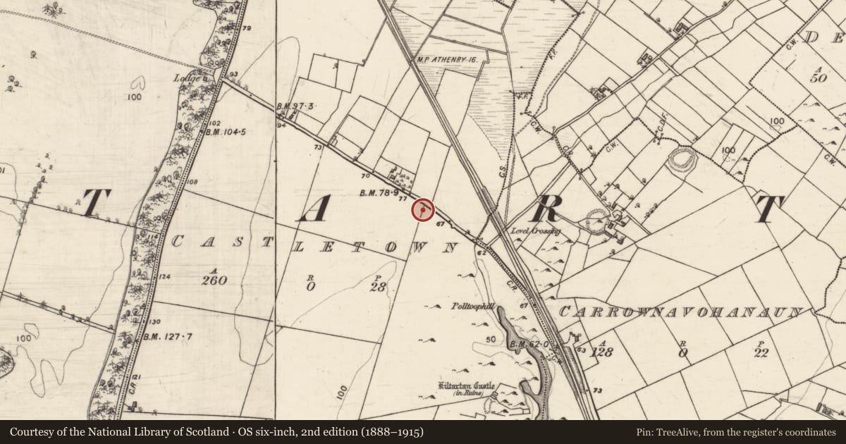 Ordnance Survey six-inch map, 2nd edition (1888–1915) covering the location of Ringfort - rath, Castletown, County Galway, with a pin at the register's coordinates