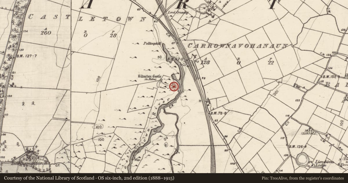 Ordnance Survey six-inch map, 2nd edition (1888–1915) covering the location of Castle - Anglo-Norman masonry castle, Castletown, County Galway, with a pin at the register's coordinates
