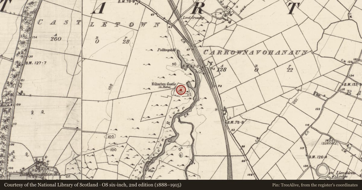 Ordnance Survey six-inch map, 2nd edition (1888–1915) covering the location of Bawn, Castletown, County Galway, with a pin at the register's coordinates