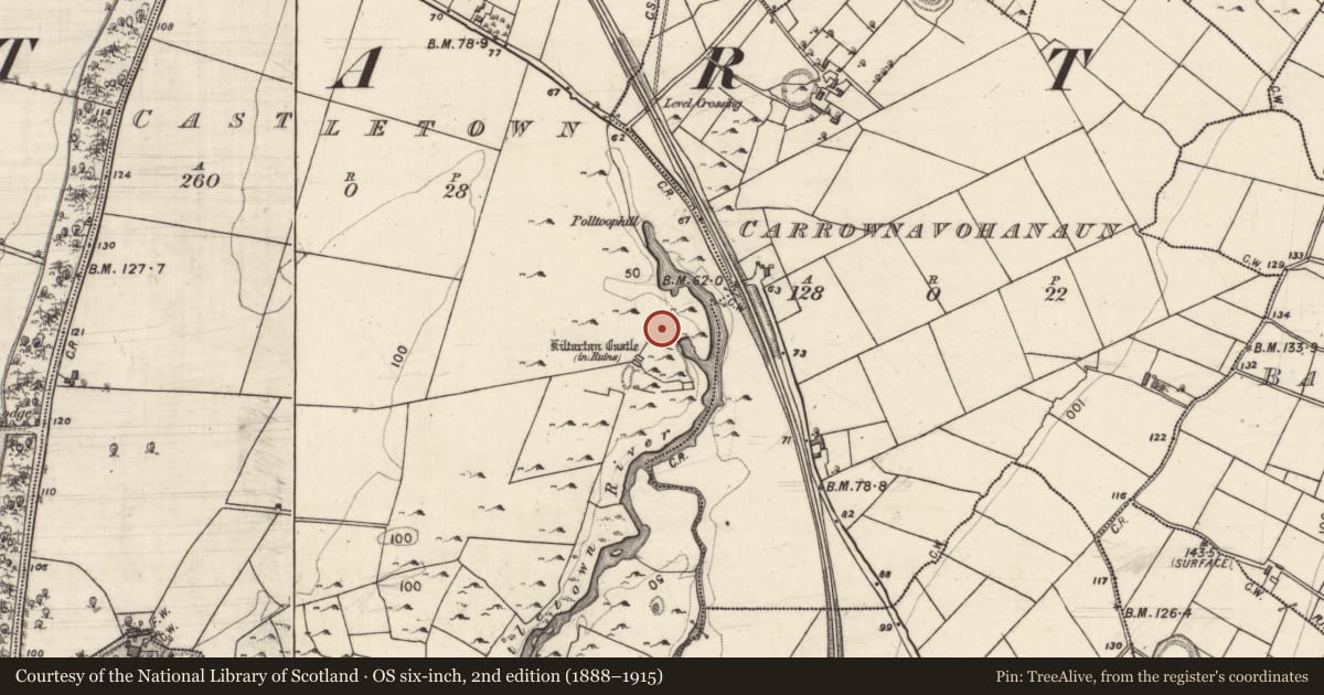 Ordnance Survey six-inch map, 2nd edition (1888–1915) covering the location of Earthwork, Castletown, County Galway, with a pin at the register's coordinates