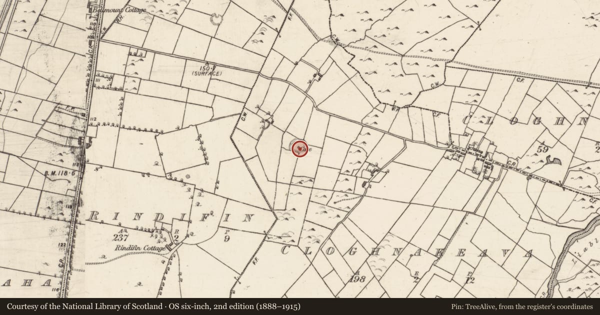 Ordnance Survey six-inch map, 2nd edition (1888–1915) covering the location of Ringfort - cashel, Cloghnakeava, County Galway, with a pin at the register's coordinates