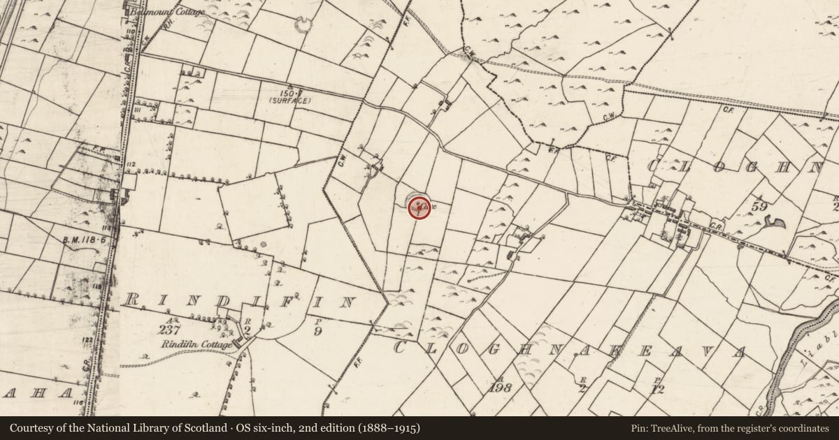 Ordnance Survey six-inch map, 2nd edition (1888–1915) covering the location of Souterrain, Cloghnakeava, County Galway, with a pin at the register's coordinates