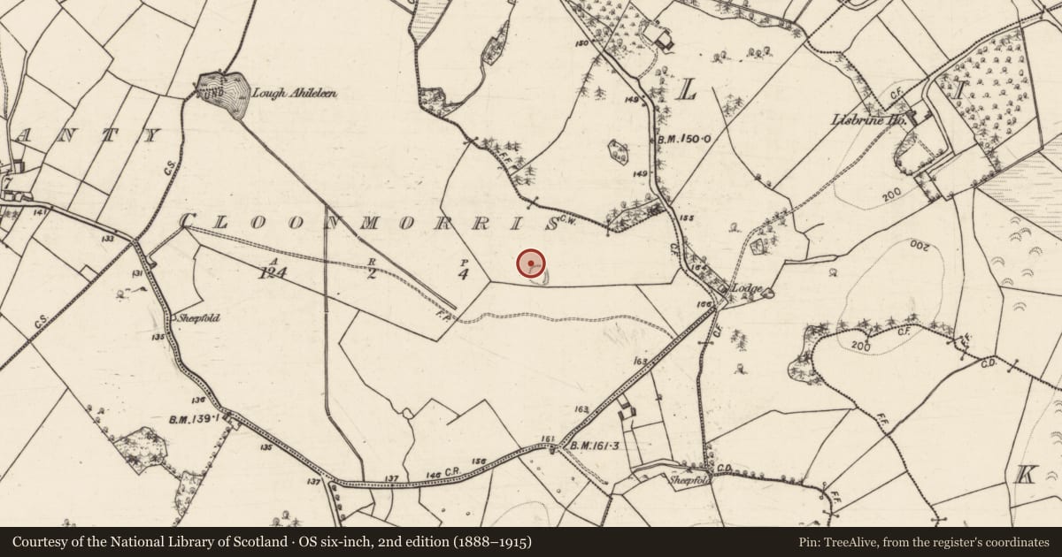 Ordnance Survey six-inch map, 2nd edition (1888–1915) covering the location of Structure, Cloonmorris, County Galway, with a pin at the register's coordinates