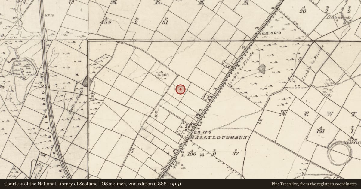Ordnance Survey six-inch map, 2nd edition (1888–1915) covering the location of Ringfort - rath, Corker, County Galway, with a pin at the register's coordinates