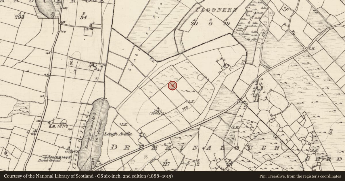 Ordnance Survey six-inch map, 2nd edition (1888–1915) covering the location of Ringfort - cashel, Drumminalough, County Galway, with a pin at the register's coordinates