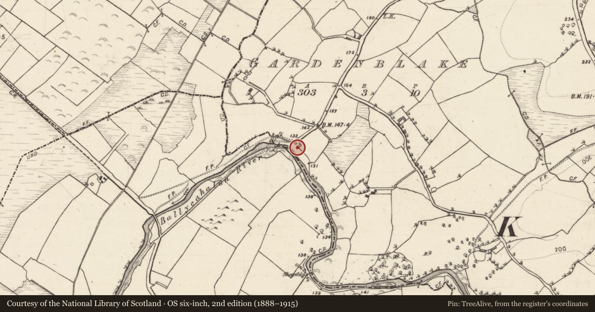 Ordnance Survey six-inch map, 2nd edition (1888–1915) covering the location of Mill - corn, Gardenblake, County Galway, with a pin at the register's coordinates