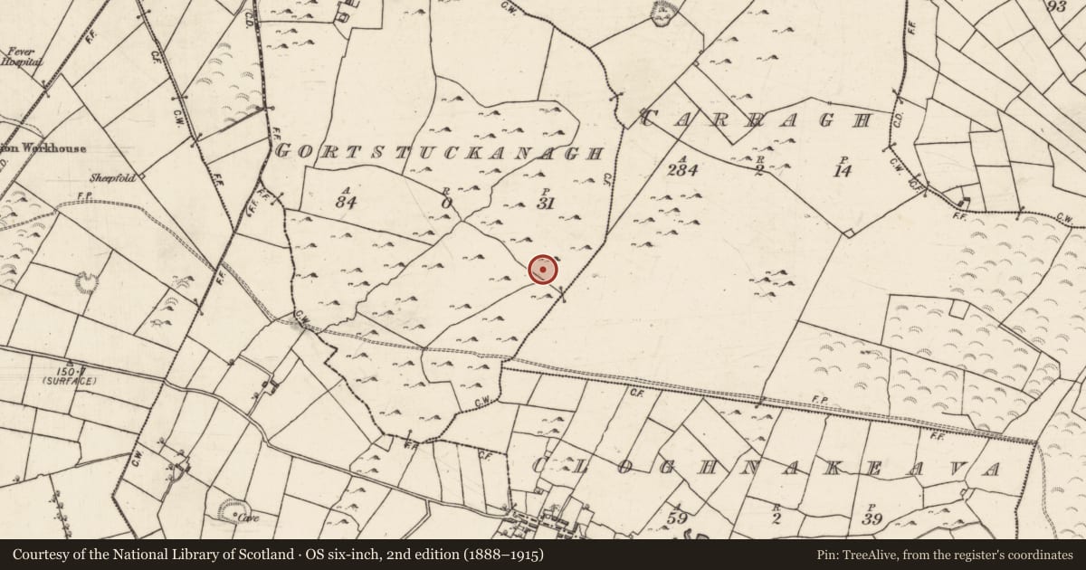 Ordnance Survey six-inch map, 2nd edition (1888–1915) covering the location of Cairn - clearance cairn, Gortstuckanagh, County Galway, with a pin at the register's coordinates