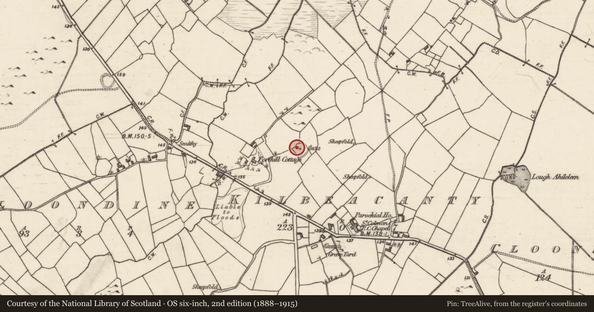 Ordnance Survey six-inch map, 2nd edition (1888–1915) covering the location of Souterrain, Kilbeacanty, County Galway, with a pin at the register's coordinates
