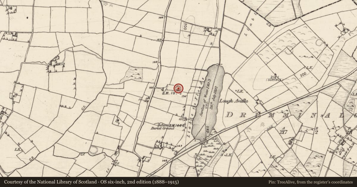 Ordnance Survey six-inch map, 2nd edition (1888–1915) covering the location of Ringfort - rath, Knockroe, County Galway, with a pin at the register's coordinates