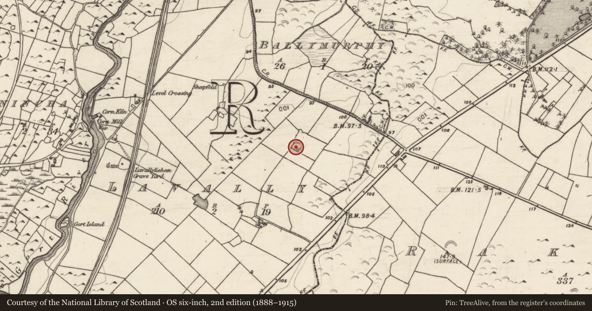 Ordnance Survey six-inch map, 2nd edition (1888–1915) covering the location of Ringfort - rath, Lavally, County Galway, with a pin at the register's coordinates