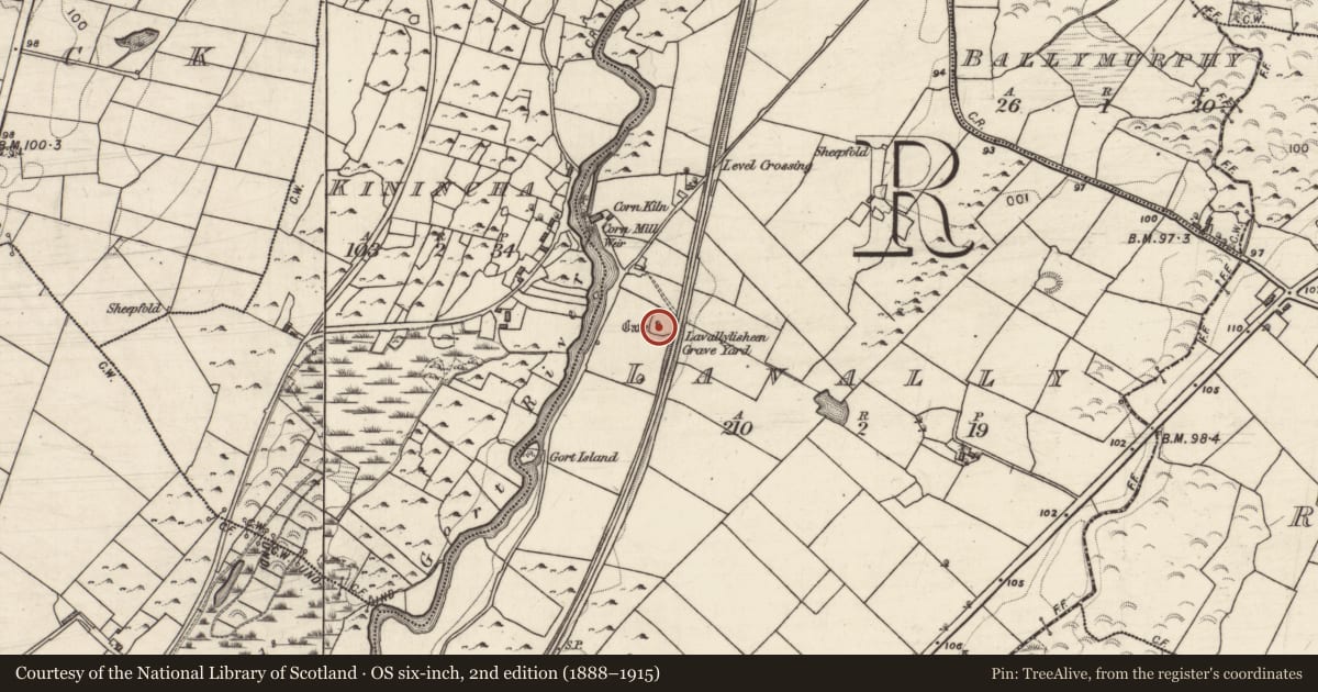 Ordnance Survey six-inch map, 2nd edition (1888–1915) covering the location of Souterrain, Lavally, County Galway, with a pin at the register's coordinates