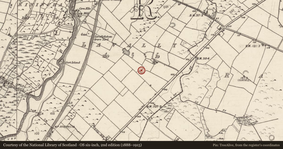 Ordnance Survey six-inch map, 2nd edition (1888–1915) covering the location of Ringfort - cashel, Lavally, County Galway, with a pin at the register's coordinates