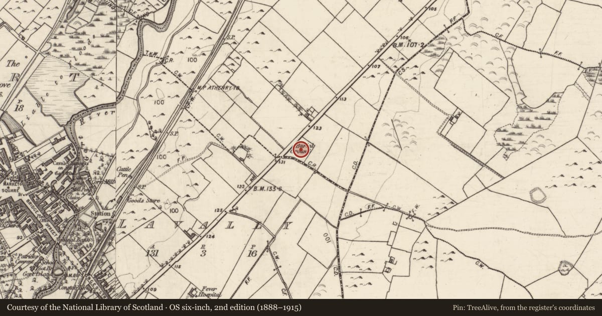 Ordnance Survey six-inch map, 2nd edition (1888–1915) covering the location of Burial ground, Lavally, County Galway, with a pin at the register's coordinates