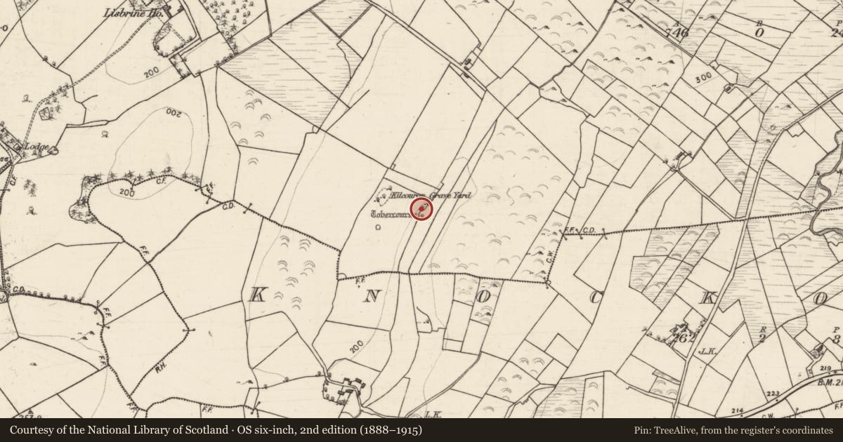 Ordnance Survey six-inch map, 2nd edition (1888–1915) covering the location of Ritual site - holy well, Lisbrine, County Galway, with a pin at the register's coordinates