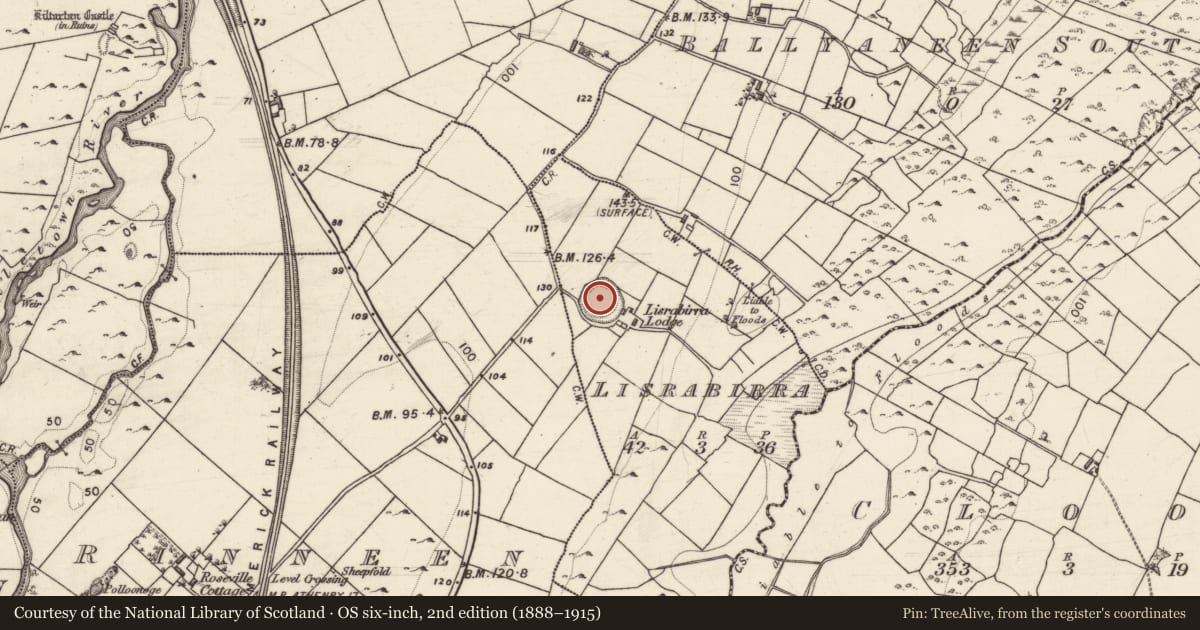 Ordnance Survey six-inch map, 2nd edition (1888–1915) covering the location of Ringfort - rath, Lisrabirra, County Galway, with a pin at the register's coordinates