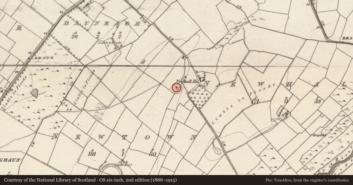 Ordnance Survey six-inch map, 2nd edition (1888–1915) covering the location of Souterrain, Newtown, County Galway, with a pin at the register's coordinates
