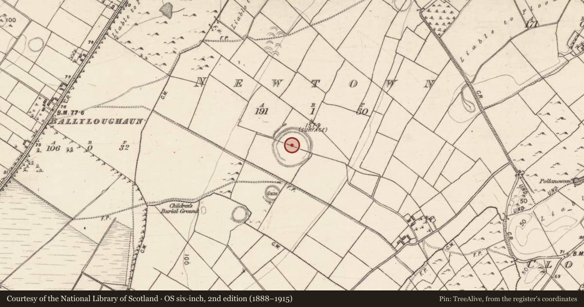 Ordnance Survey six-inch map, 2nd edition (1888–1915) covering the location of Enclosure - large enclosure, Newtown, County Galway, with a pin at the register's coordinates
