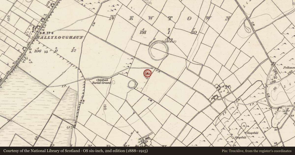 Ordnance Survey six-inch map, 2nd edition (1888–1915) covering the location of Souterrain, Newtown, County Galway, with a pin at the register's coordinates