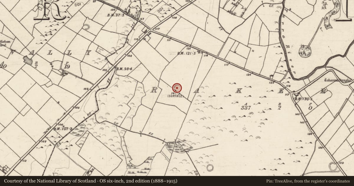 Ordnance Survey six-inch map, 2nd edition (1888–1915) covering the location of Ringfort - rath, Rakerin, County Galway, with a pin at the register's coordinates