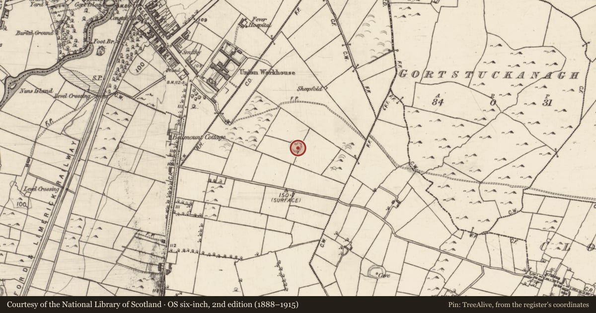 Ordnance Survey six-inch map, 2nd edition (1888–1915) covering the location of Ringfort - cashel, Rindifin, County Galway, with a pin at the register's coordinates