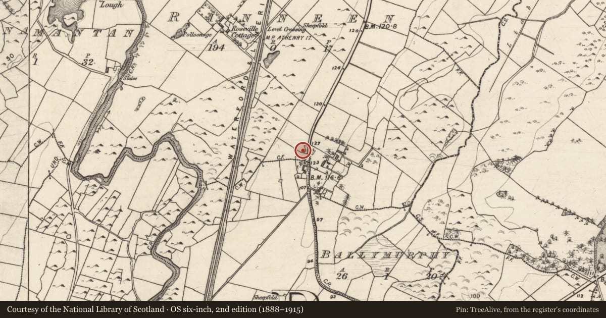 Ordnance Survey six-inch map, 2nd edition (1888–1915) covering the location of Ringfort - rath, Rinneen (ED Kiltartan), County Galway, with a pin at the register's coordinates