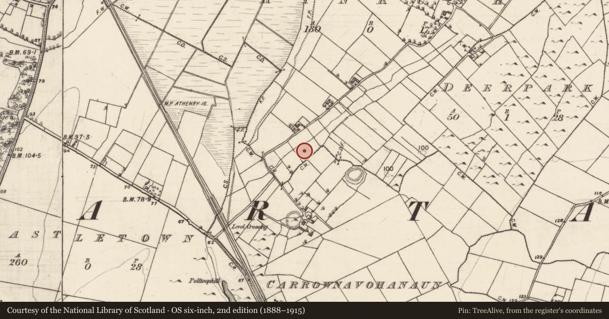 Ordnance Survey six-inch map, 2nd edition (1888–1915) covering the location of Fulacht fia, Rinrush, County Galway, with a pin at the register's coordinates