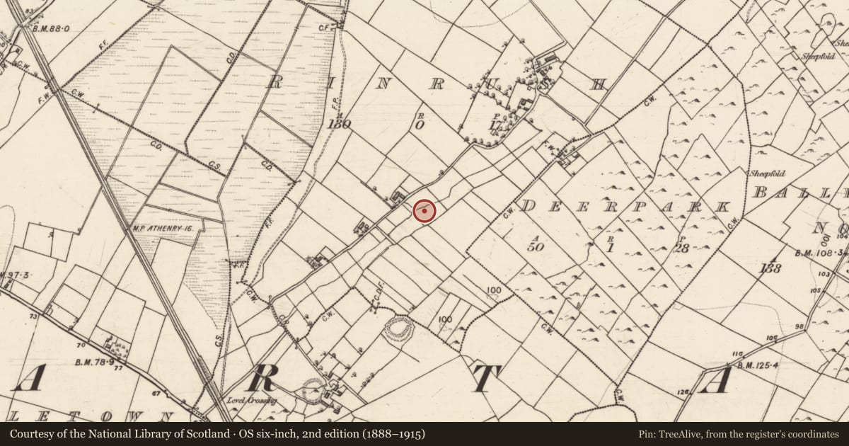 Ordnance Survey six-inch map, 2nd edition (1888–1915) covering the location of Burnt mound, Rinrush, County Galway, with a pin at the register's coordinates