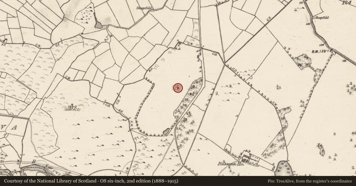 Ordnance Survey six-inch map, 2nd edition (1888–1915) covering the location of Ringfort - cashel, Russaun, County Galway, with a pin at the register's coordinates