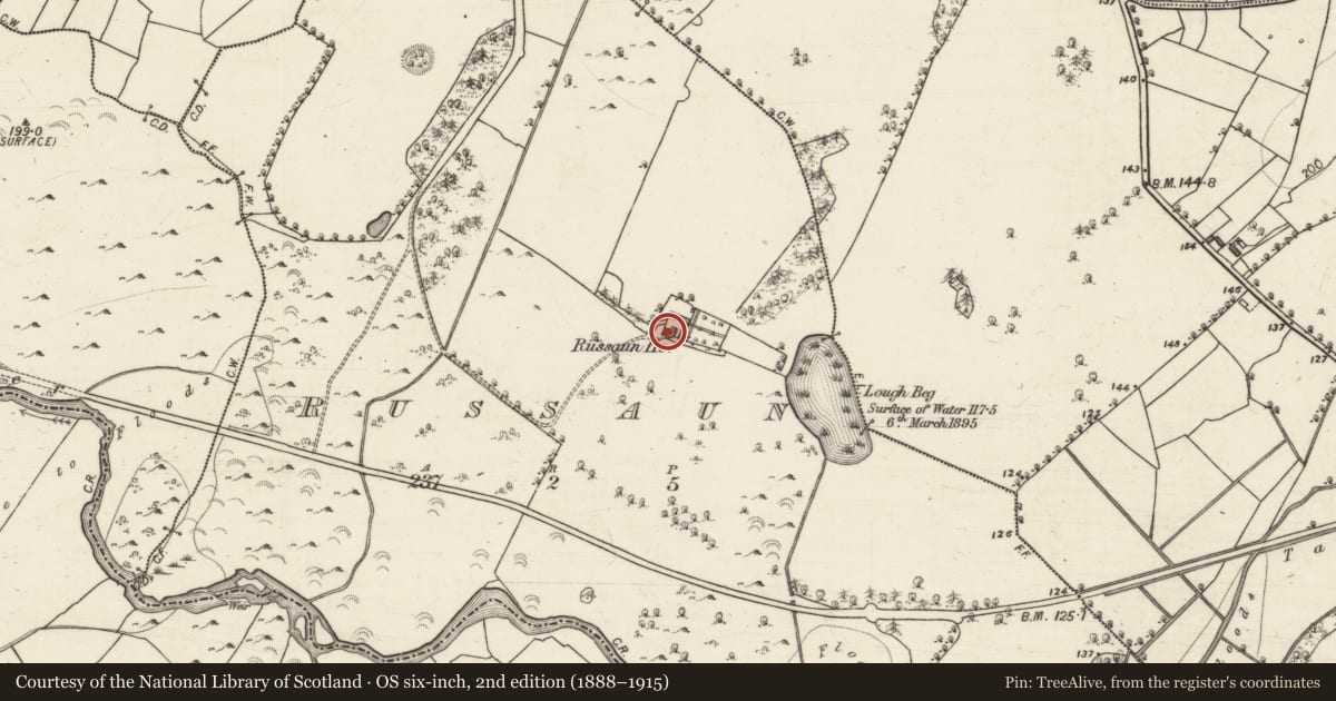 Ordnance Survey six-inch map, 2nd edition (1888–1915) covering the location of House - 18th/19th century, Russaun, County Galway, with a pin at the register's coordinates