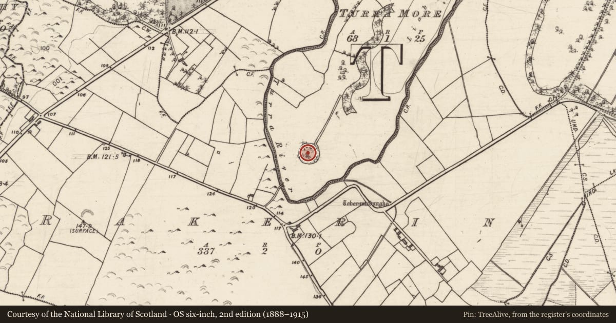 Ordnance Survey six-inch map, 2nd edition (1888–1915) covering the location of Designed landscape - tree-ring, Turra More, County Galway, with a pin at the register's coordinates