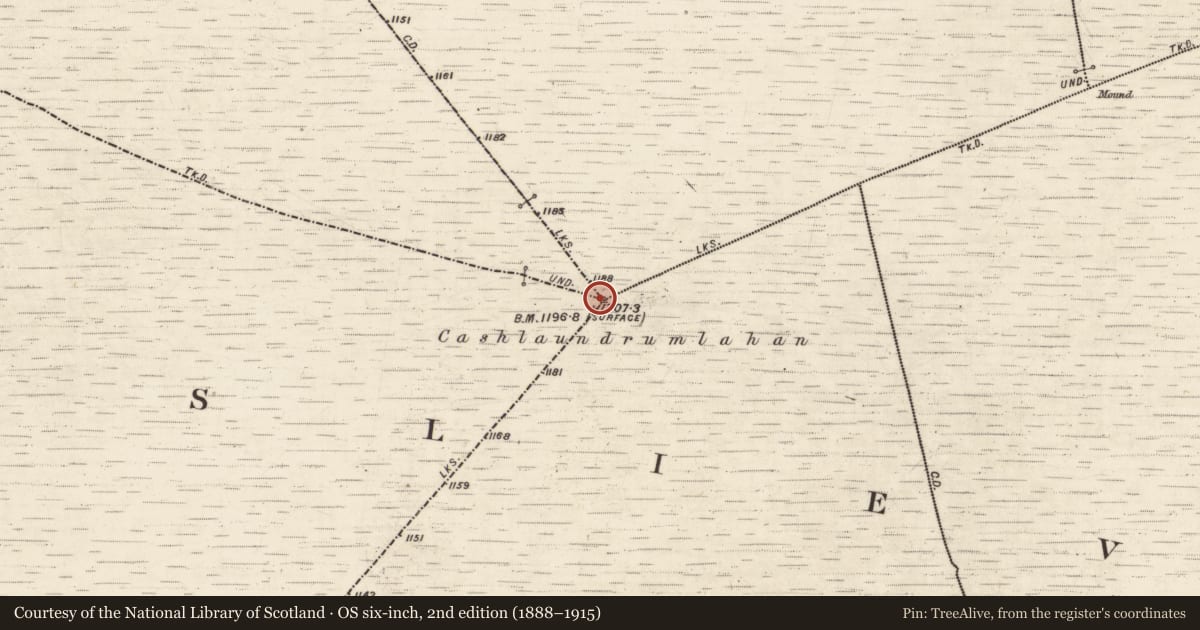 Ordnance Survey six-inch map, 2nd edition (1888–1915) covering the location of Ringfort - cashel, County Galway, with a pin at the register's coordinates
