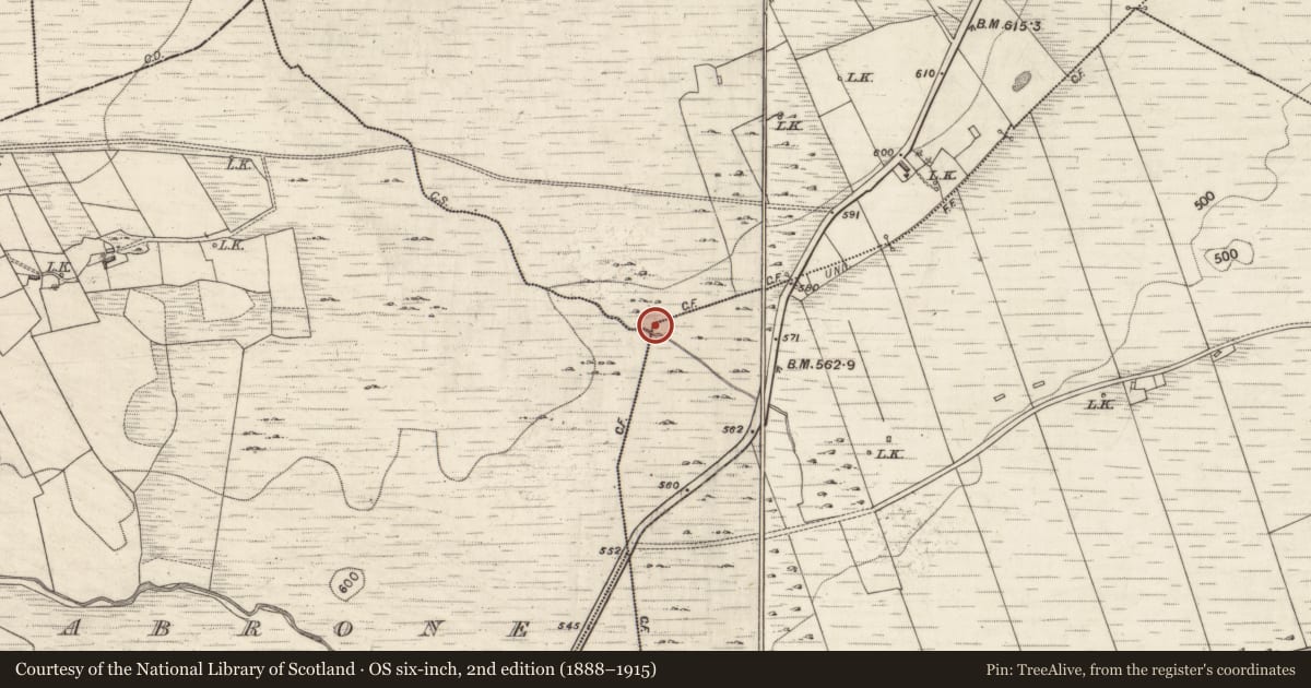 Ordnance Survey six-inch map, 2nd edition (1888–1915) covering the location of Standing stone, Cullenagh, County Galway, with a pin at the register's coordinates