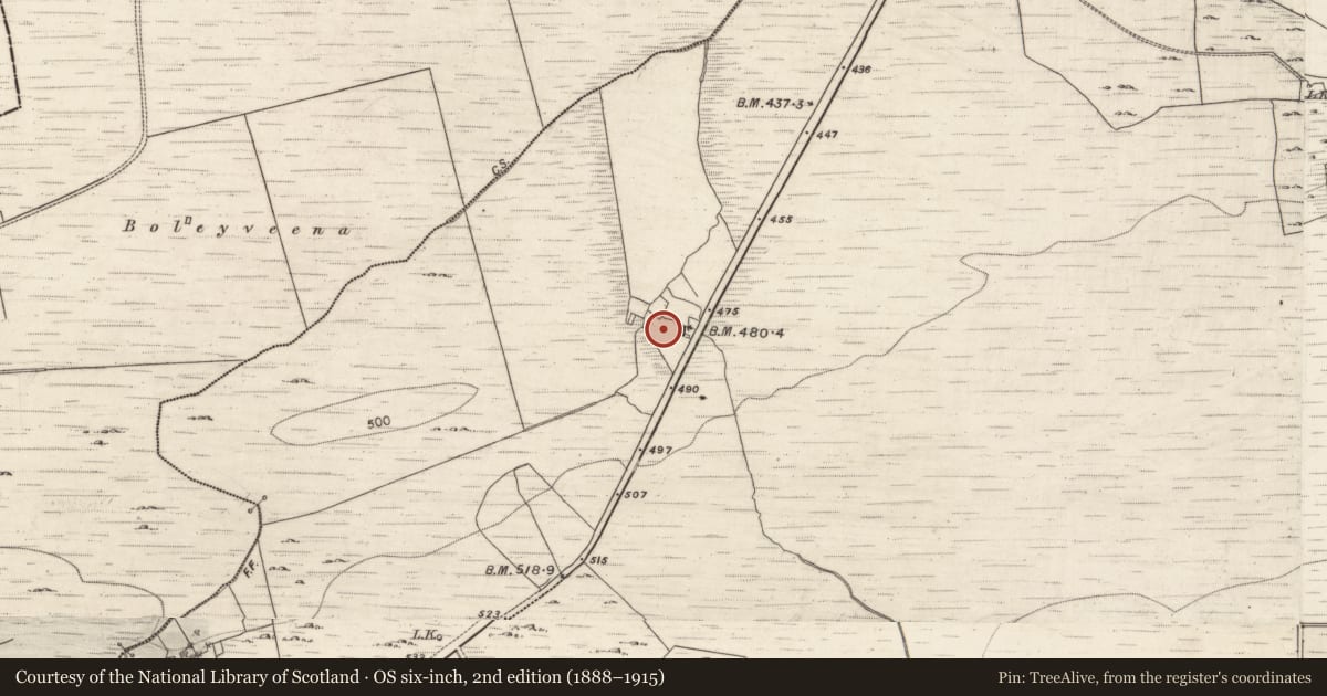 Ordnance Survey six-inch map, 2nd edition (1888–1915) covering the location of Kiln - corn-drying, Loughatorick North, County Galway, with a pin at the register's coordinates
