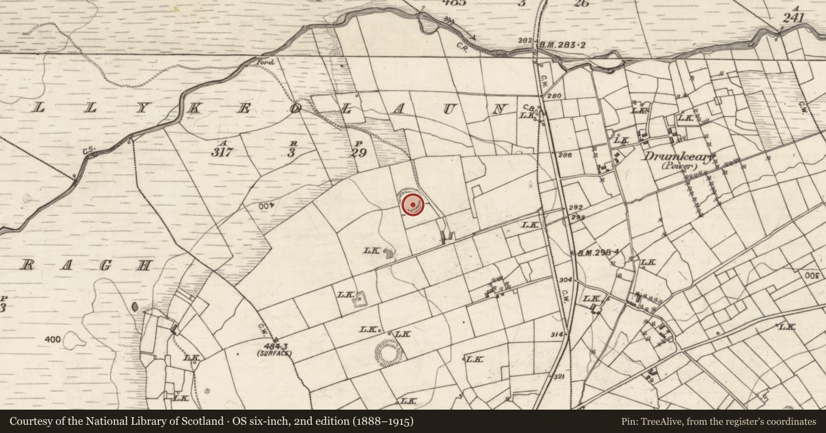 Ordnance Survey six-inch map, 2nd edition (1888–1915) covering the location of Ringfort - rath, Allykeolaun, County Galway, with a pin at the register's coordinates