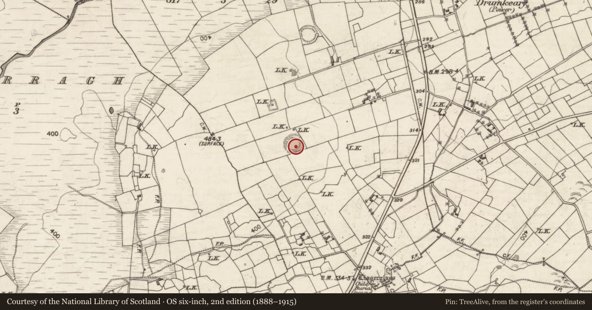 Ordnance Survey six-inch map, 2nd edition (1888–1915) covering the location of Ringfort - rath, Allykeolaun, County Galway, with a pin at the register's coordinates