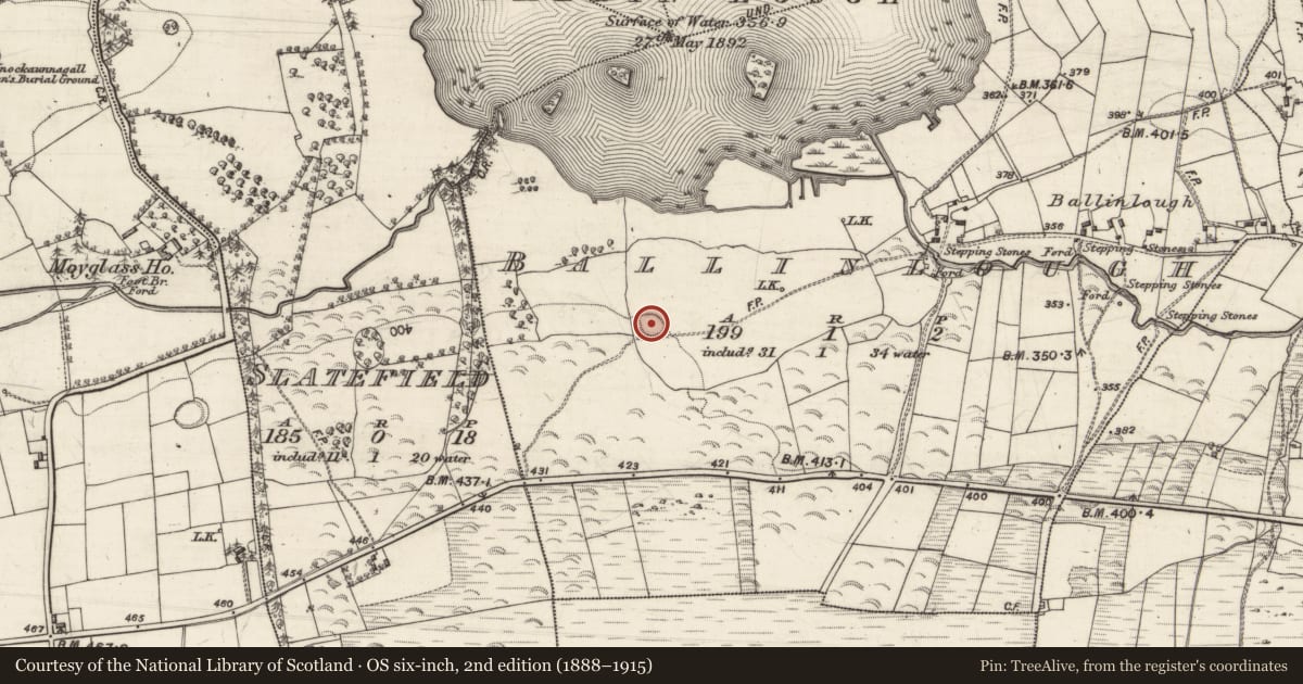 Ordnance Survey six-inch map, 2nd edition (1888–1915) covering the location of Ringfort - rath, Ballinlough, County Galway, with a pin at the register's coordinates