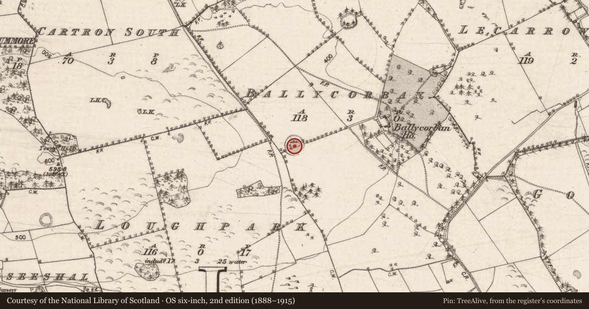 Ordnance Survey six-inch map, 2nd edition (1888–1915) covering the location of Souterrain, Ballycorban, County Galway, with a pin at the register's coordinates