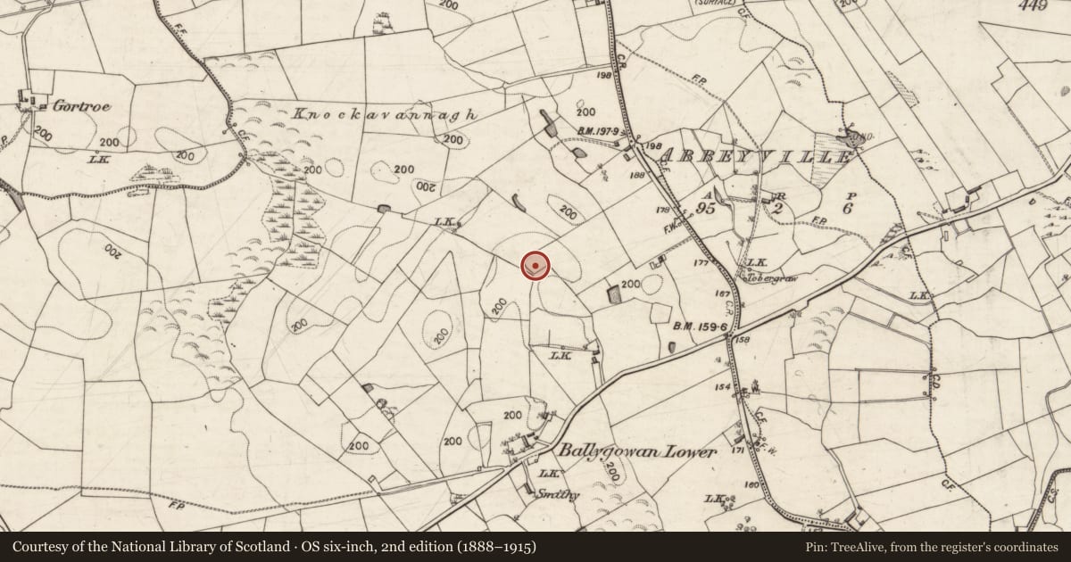 Ordnance Survey six-inch map, 2nd edition (1888–1915) covering the location of Ringfort - rath, Ballygowan, County Galway, with a pin at the register's coordinates
