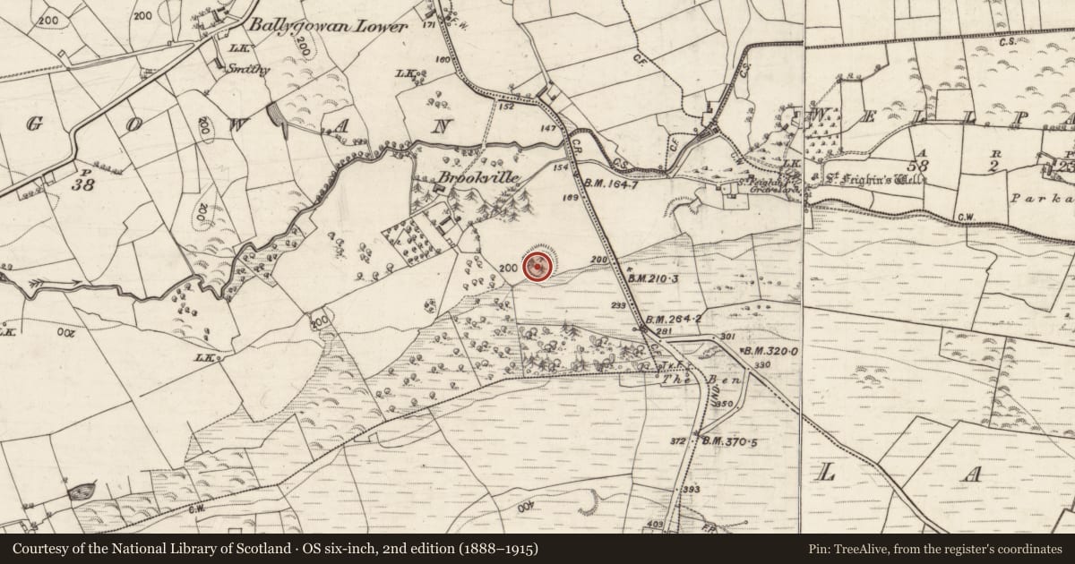 Ordnance Survey six-inch map, 2nd edition (1888–1915) covering the location of Souterrain, Ballygowan, County Galway, with a pin at the register's coordinates