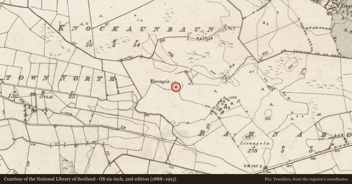 Ordnance Survey six-inch map, 2nd edition (1888–1915) covering the location of Ringfort - rath, Barnaboy, County Galway, with a pin at the register's coordinates