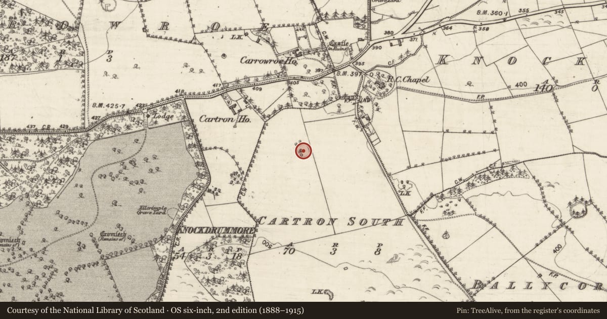 Ordnance Survey six-inch map, 2nd edition (1888–1915) covering the location of Ringfort - rath, Cartron South, County Galway, with a pin at the register's coordinates