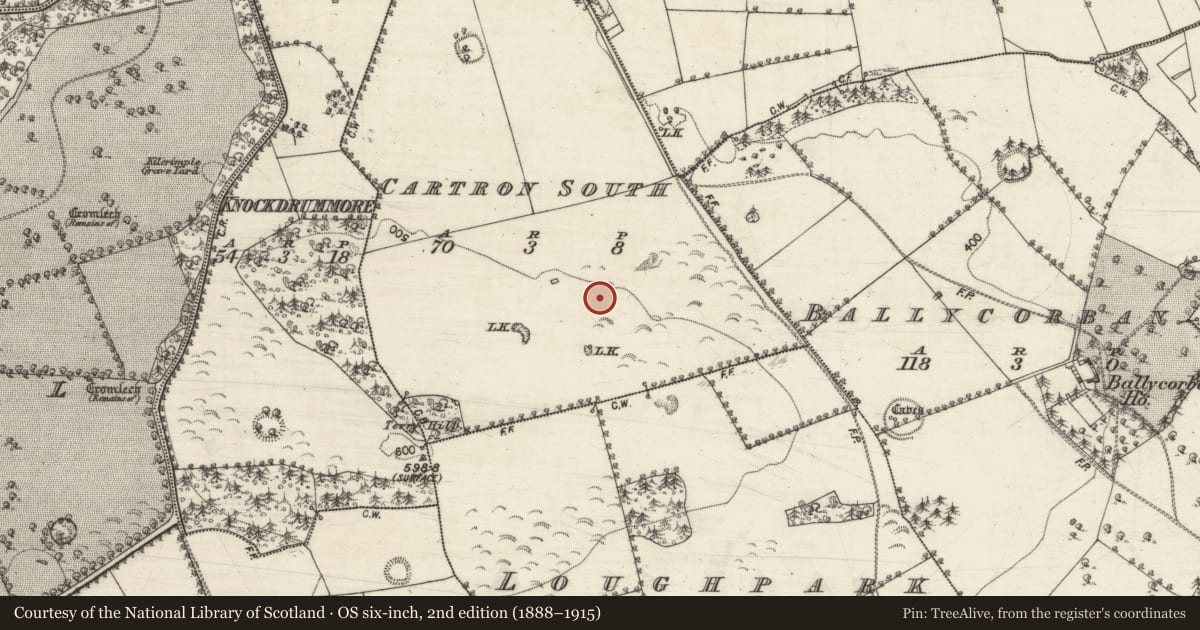 Ordnance Survey six-inch map, 2nd edition (1888–1915) covering the location of Cairn - radial-stone cairn, Cartron South, County Galway, with a pin at the register's coordinates