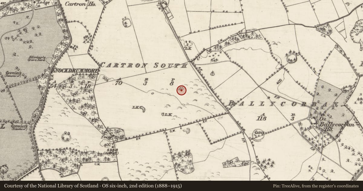 Ordnance Survey six-inch map, 2nd edition (1888–1915) covering the location of Quarry, Cartron South, County Galway, with a pin at the register's coordinates
