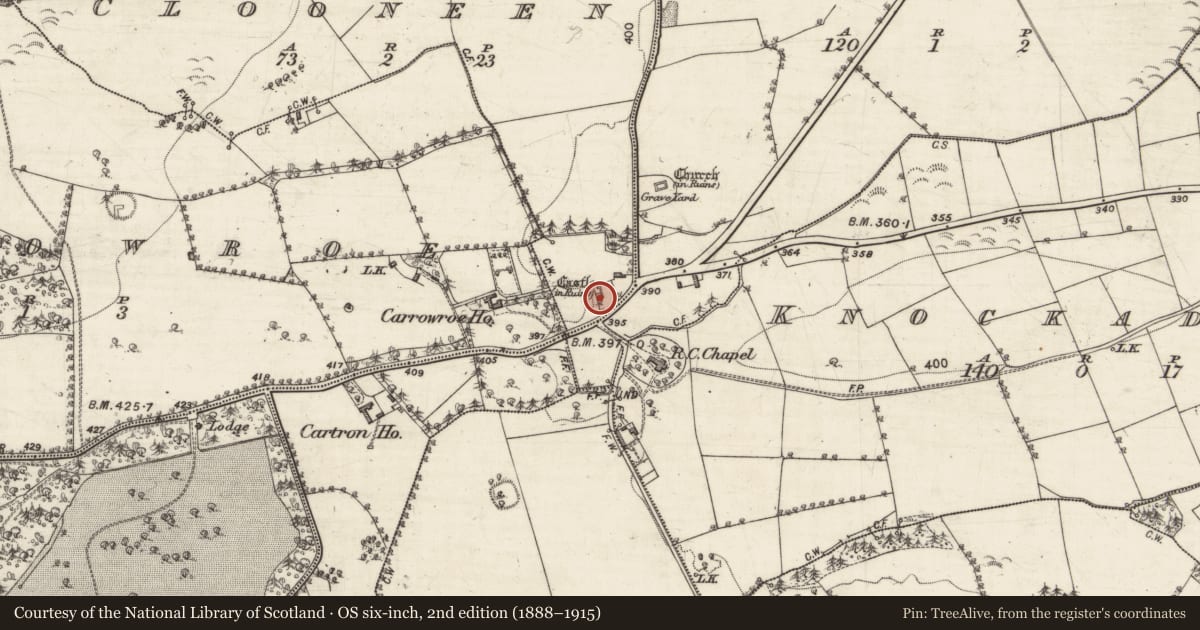 Ordnance Survey six-inch map, 2nd edition (1888–1915) covering the location of Castle - unclassified, Clooneen, County Galway, with a pin at the register's coordinates