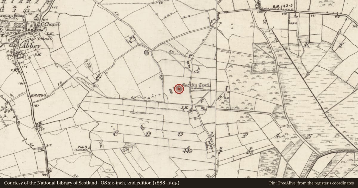 Ordnance Survey six-inch map, 2nd edition (1888–1915) covering the location of Castle - tower house, Coolfin, County Galway, with a pin at the register's coordinates